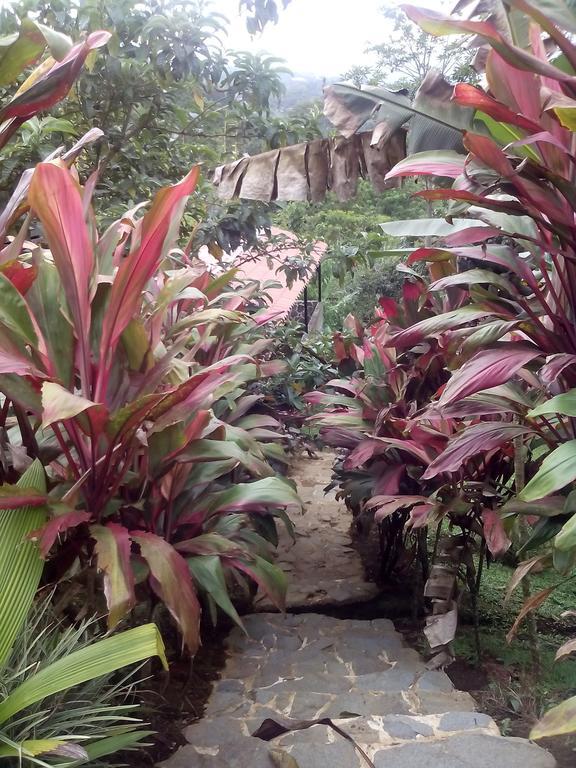Green Mountain And Lodge Turrialba Exterior photo